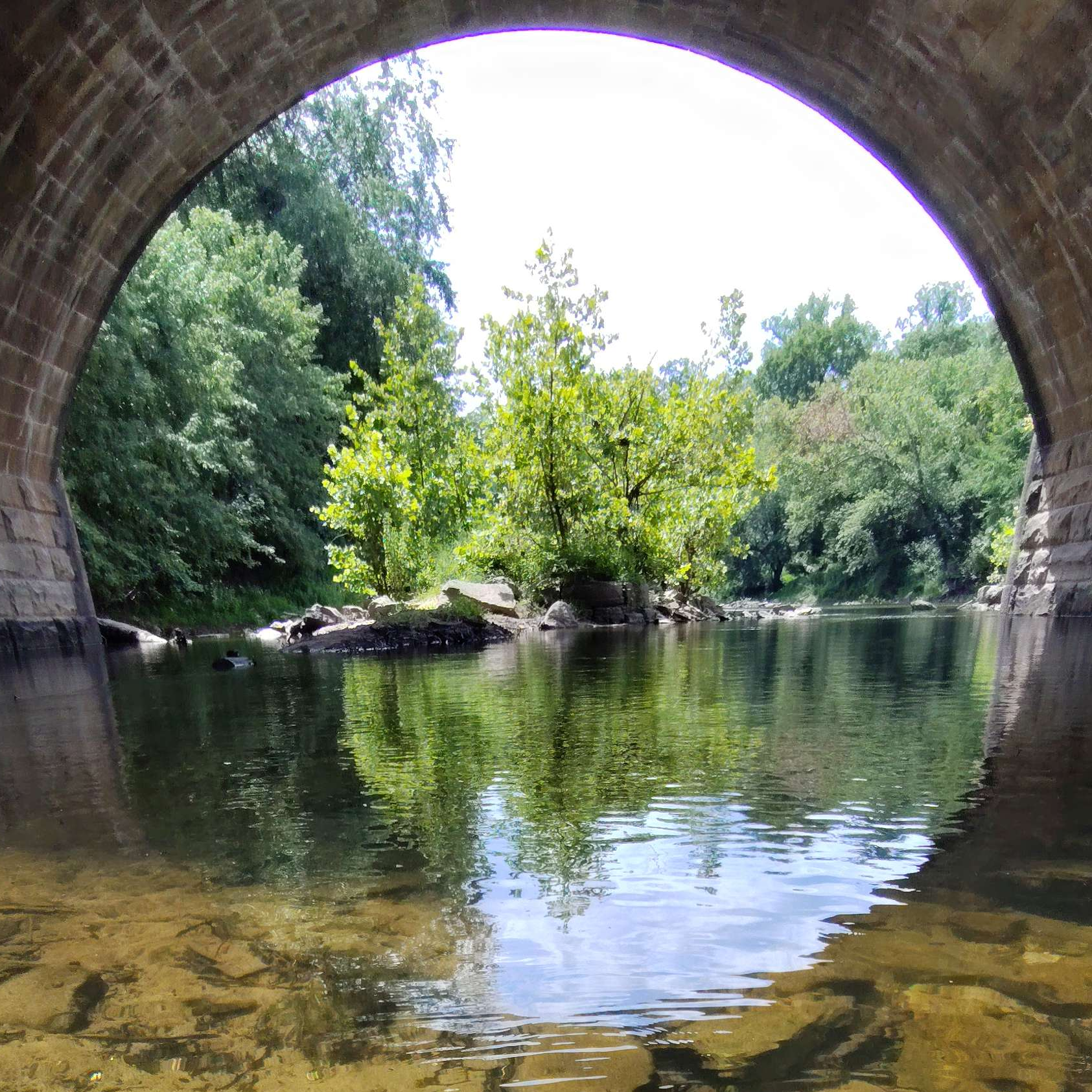 Portfolio image: Bridge