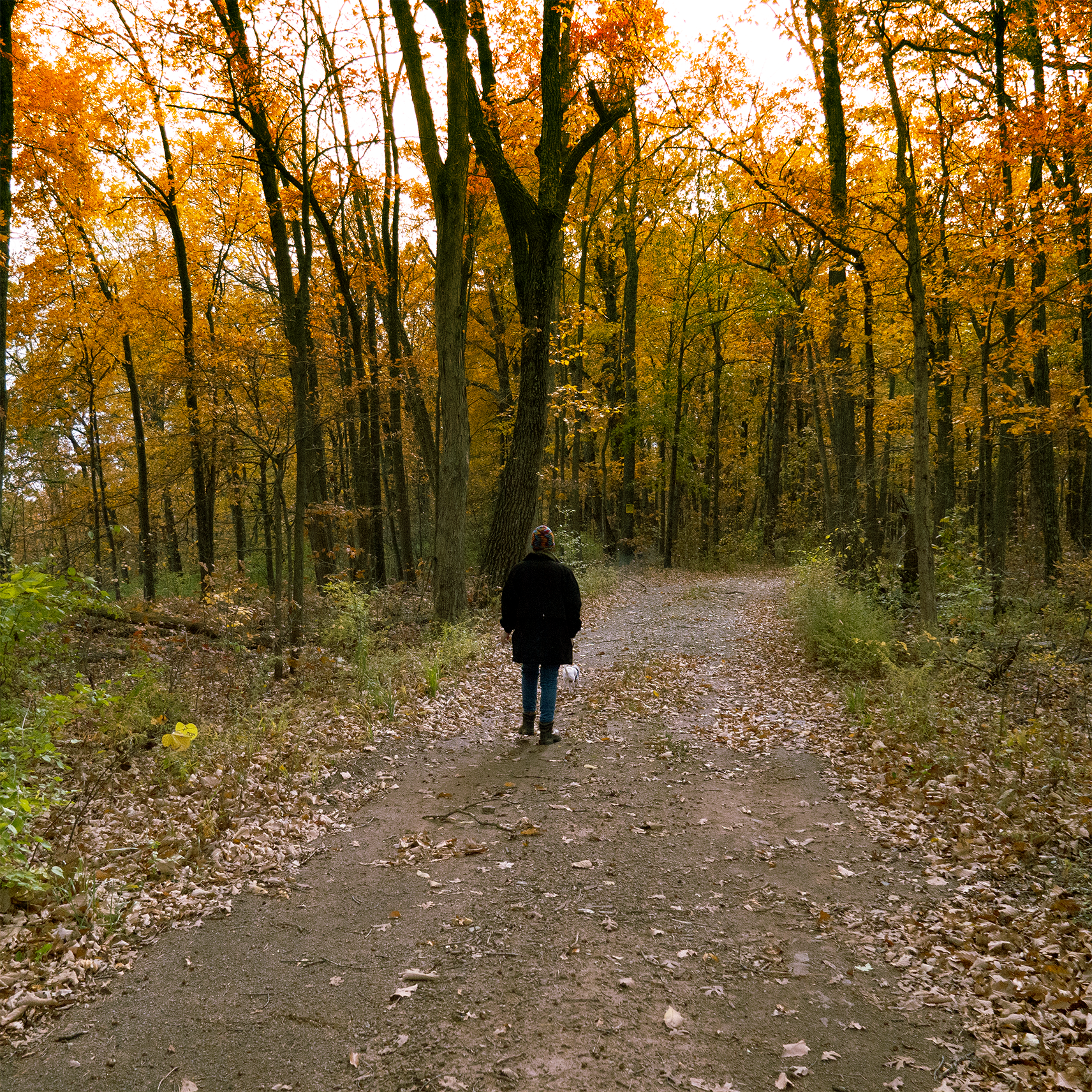 Portfolio image: Walk